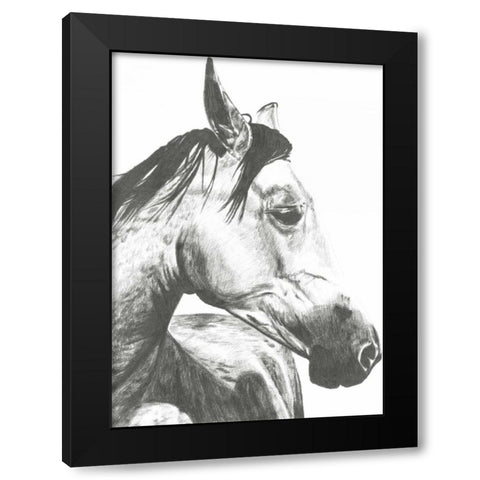 Wildlife Snapshot- Horse II Black Modern Wood Framed Art Print with Double Matting by McCavitt, Naomi