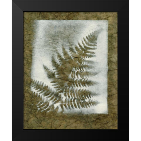 Shadows and Ferns I Black Modern Wood Framed Art Print by Stramel, Renee W.