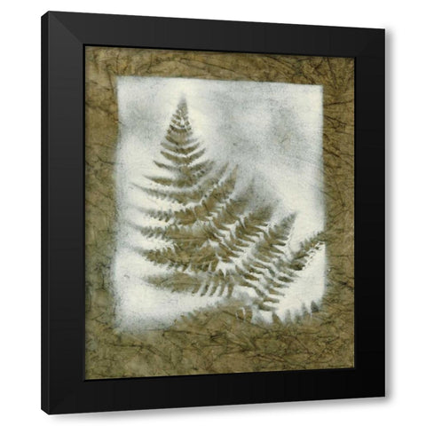 Shadows and Ferns II Black Modern Wood Framed Art Print by Stramel, Renee W.