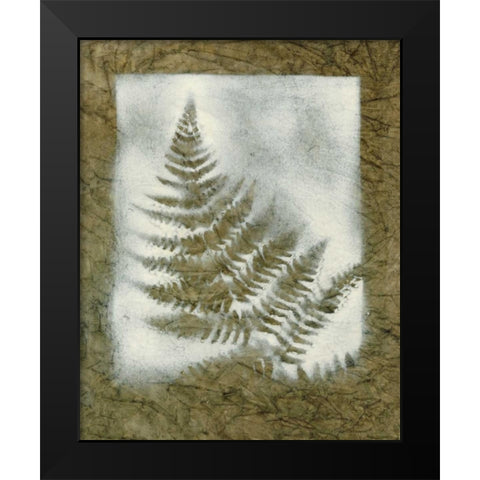 Shadows and Ferns II Black Modern Wood Framed Art Print by Stramel, Renee W.