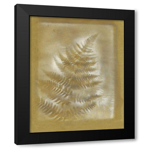 Shadows and Ferns III Black Modern Wood Framed Art Print with Double Matting by Stramel, Renee W.