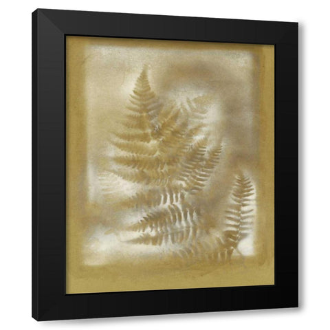 Shadows and Ferns IV Black Modern Wood Framed Art Print by Stramel, Renee W.