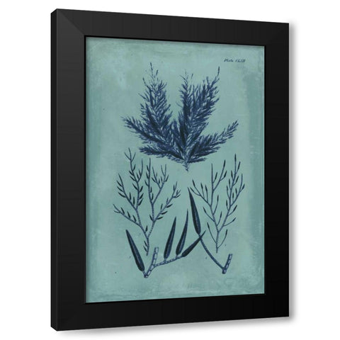 Indigo and Azure Seaweed I Black Modern Wood Framed Art Print by Vision Studio