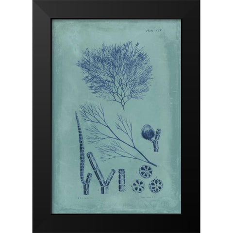 Indigo and Azure Seaweed VI Black Modern Wood Framed Art Print by Vision Studio