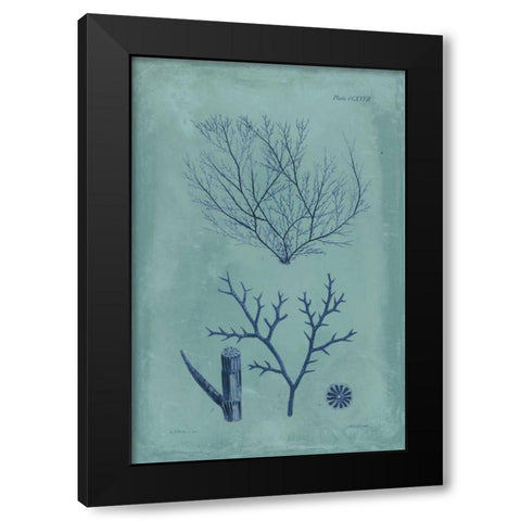 Indigo and Azure Seaweed VII Black Modern Wood Framed Art Print with Double Matting by Vision Studio