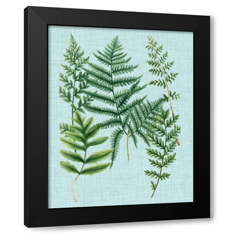 Spa Ferns I Black Modern Wood Framed Art Print with Double Matting by Weinmann