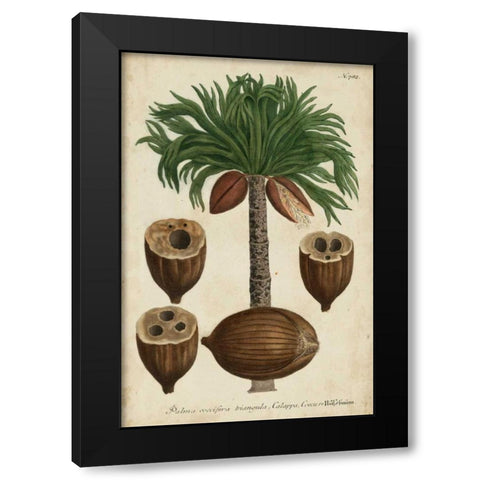 Vintage Tropicals I Black Modern Wood Framed Art Print with Double Matting by Weinmann