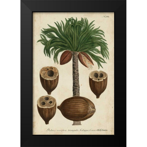 Vintage Tropicals I Black Modern Wood Framed Art Print by Weinmann
