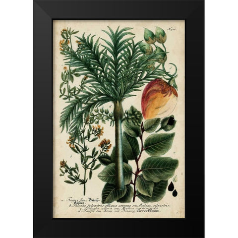Vintage Tropicals III Black Modern Wood Framed Art Print by Weinmann