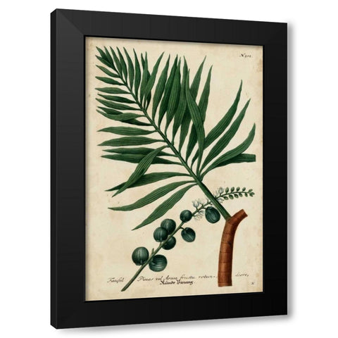 Vintage Tropicals IV Black Modern Wood Framed Art Print with Double Matting by Weinmann