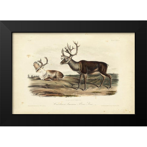 Caribou Black Modern Wood Framed Art Print by Audubon, John James