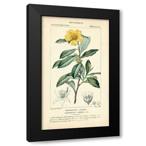 Botanique Study in Yellow I Black Modern Wood Framed Art Print by Turpin