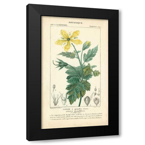 Botanique Study in Yellow IV Black Modern Wood Framed Art Print with Double Matting by Turpin