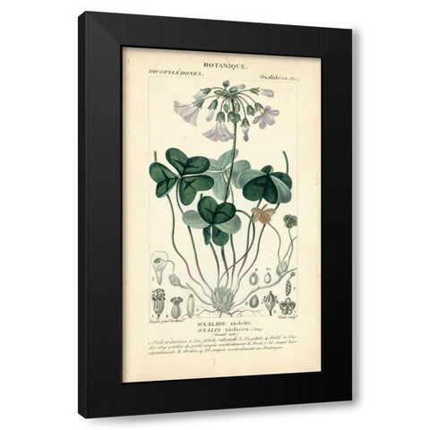 Botanique Study in Lavender I Black Modern Wood Framed Art Print by Turpin