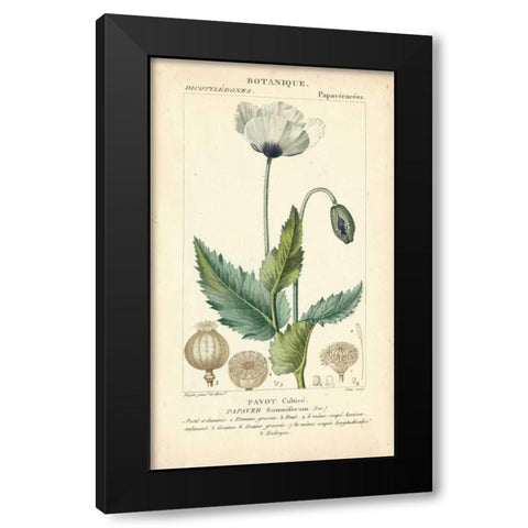 Botanique Study in Lavender II Black Modern Wood Framed Art Print with Double Matting by Turpin