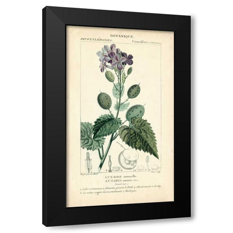 Botanique Study in Lavender III Black Modern Wood Framed Art Print with Double Matting by Turpin