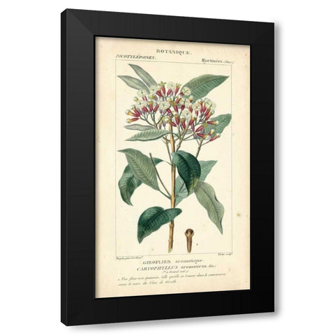Botanique Study in Pink II Black Modern Wood Framed Art Print with Double Matting by Turpin