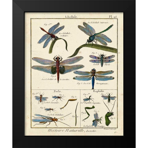 Histoire Naturelle Insects I Black Modern Wood Framed Art Print by Diderot