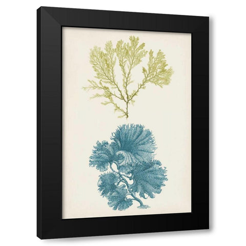 Aqua and Citron Coral I Black Modern Wood Framed Art Print by Vision Studio