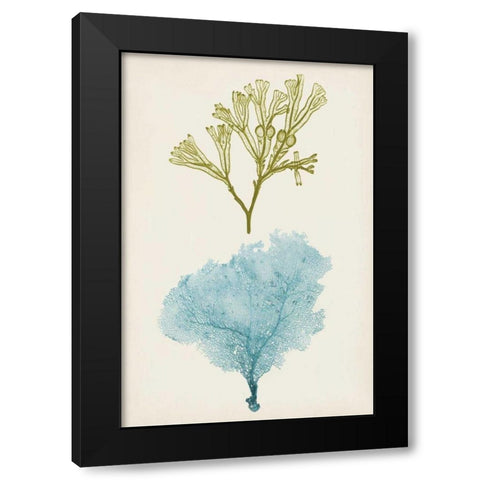 Aqua and Citron Coral II Black Modern Wood Framed Art Print by Vision Studio