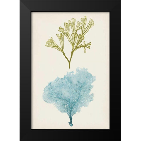 Aqua and Citron Coral II Black Modern Wood Framed Art Print by Vision Studio