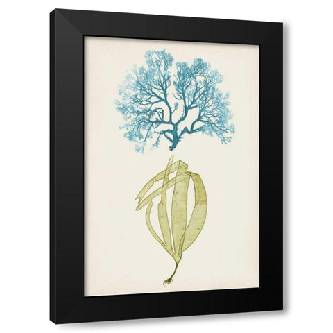 Aqua and Citron Coral IV Black Modern Wood Framed Art Print with Double Matting by Vision Studio