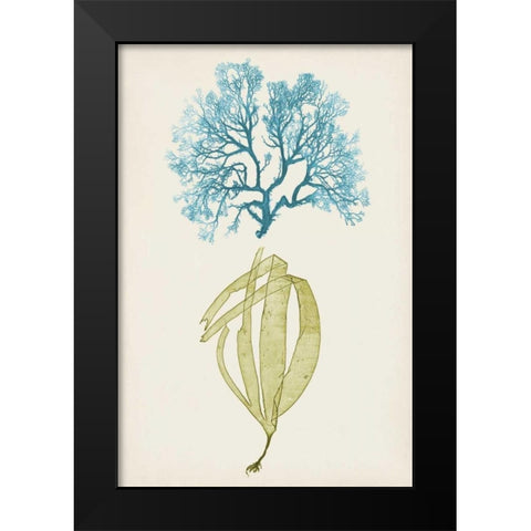 Aqua and Citron Coral IV Black Modern Wood Framed Art Print by Vision Studio