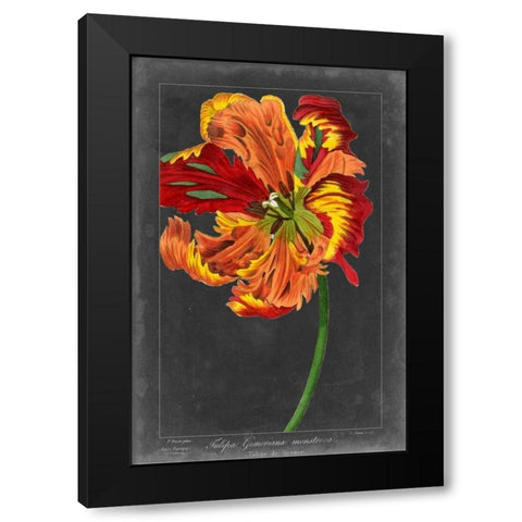 Midnight Tulip I Black Modern Wood Framed Art Print by Vision Studio
