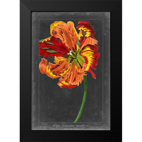 Midnight Tulip I Black Modern Wood Framed Art Print by Vision Studio