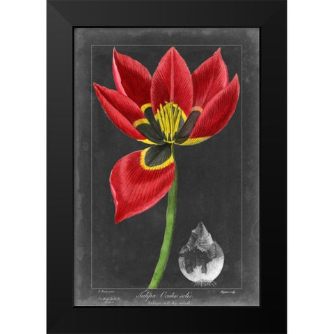 Midnight Tulip II Black Modern Wood Framed Art Print by Vision Studio