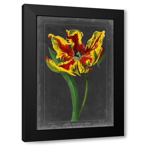 Midnight Tulip III Black Modern Wood Framed Art Print by Vision Studio