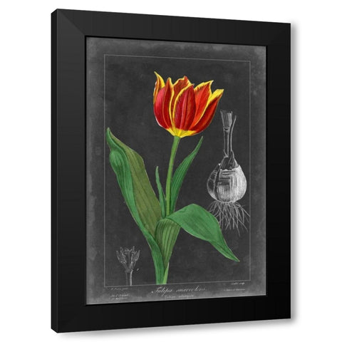 Midnight Tulip IV Black Modern Wood Framed Art Print by Vision Studio