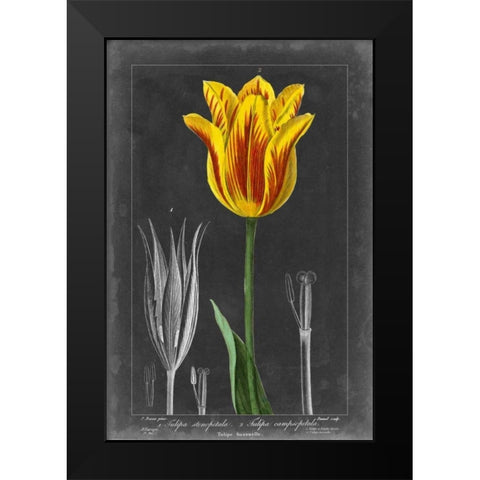 Midnight Tulip V Black Modern Wood Framed Art Print by Vision Studio