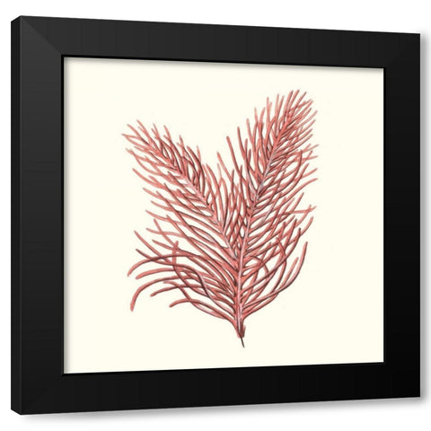 Seaweed Collection II Black Modern Wood Framed Art Print by Vision Studio