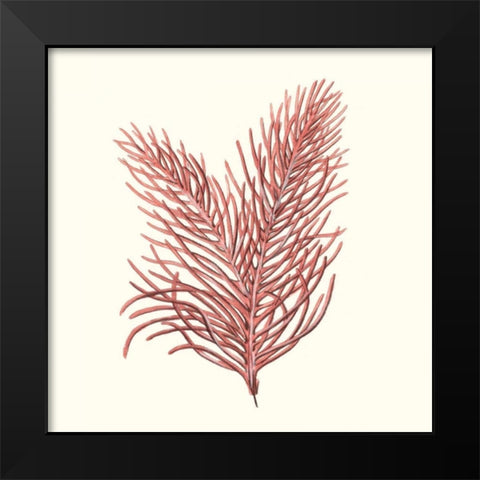 Seaweed Collection II Black Modern Wood Framed Art Print by Vision Studio