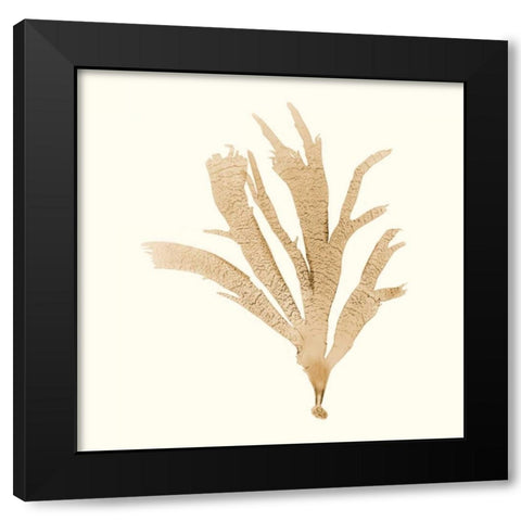 Seaweed Collection IV Black Modern Wood Framed Art Print by Vision Studio