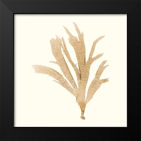 Seaweed Collection IV Black Modern Wood Framed Art Print by Vision Studio