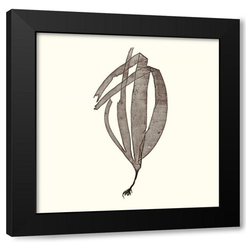 Seaweed Collection V Black Modern Wood Framed Art Print by Vision Studio