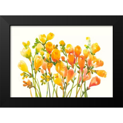 Freesia I Black Modern Wood Framed Art Print by OToole, Tim