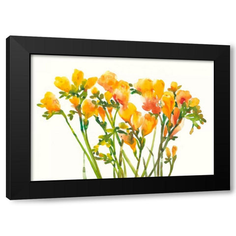 Freesia II Black Modern Wood Framed Art Print with Double Matting by OToole, Tim