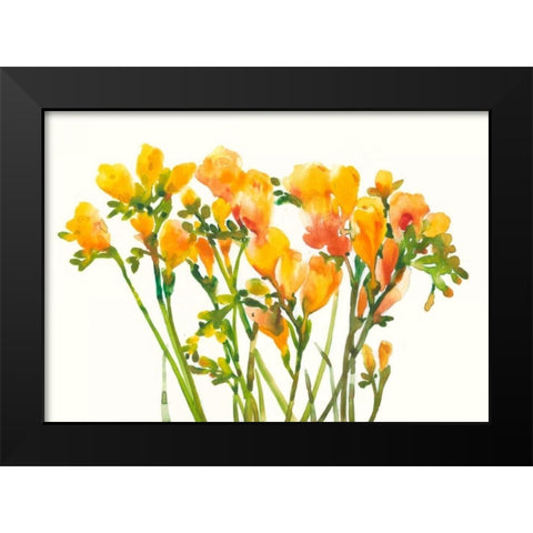Freesia II Black Modern Wood Framed Art Print by OToole, Tim