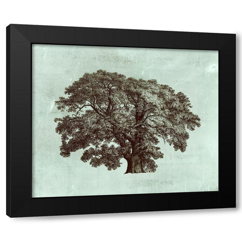 Custom Spa Tree II (ASH) Black Modern Wood Framed Art Print by Vision Studio