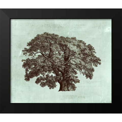 Custom Spa Tree II (ASH) Black Modern Wood Framed Art Print by Vision Studio