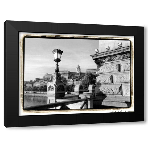 View of the Royal Palace, Budapest Black Modern Wood Framed Art Print by DeNardo, Laura