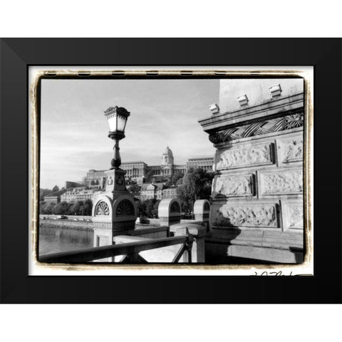 View of the Royal Palace, Budapest Black Modern Wood Framed Art Print by DeNardo, Laura