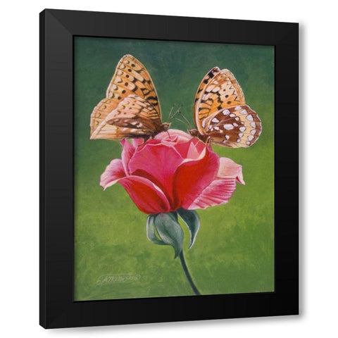 Sharing a Rose Black Modern Wood Framed Art Print with Double Matting by Szatkowski, Fred