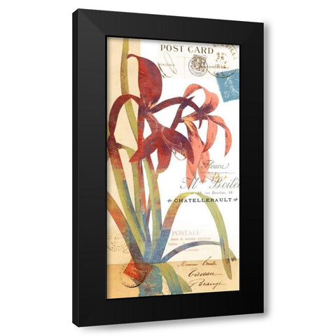 Crowning Glory II Black Modern Wood Framed Art Print with Double Matting by Green-Aldridge, W.