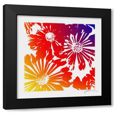 Floral Brights II Black Modern Wood Framed Art Print by Burghardt, James