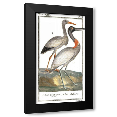 Buffon Cranes and Herons I Black Modern Wood Framed Art Print by Buffon