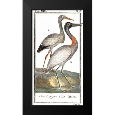 Buffon Cranes and Herons I Black Modern Wood Framed Art Print by Buffon